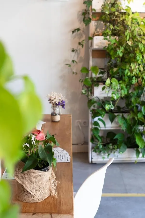 Dynamic Hotels Caldetes Barcelona Caldes D'Estrach